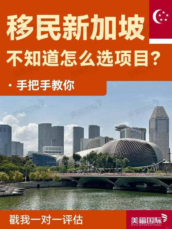 想移民去新加坡，不知道怎么选项目？