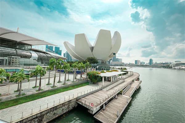 新加坡GIP通关,关键三步拆解 新加坡GIP通关,关键三步拆解